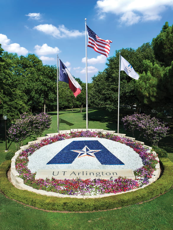 UTA Flower Bed
